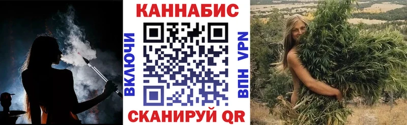 Какие есть наркотики Новозыбков Alpha PVP  МЕФ  Псилоцибиновые грибы  Кокаин  ГАШИШ  Амфетамин 