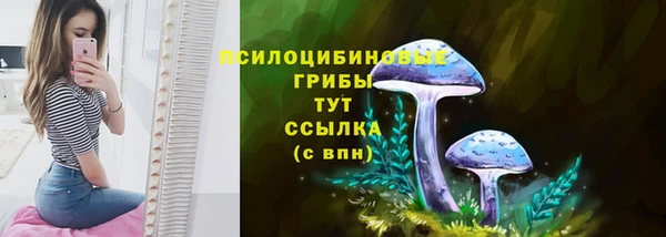 MDMA Аркадак