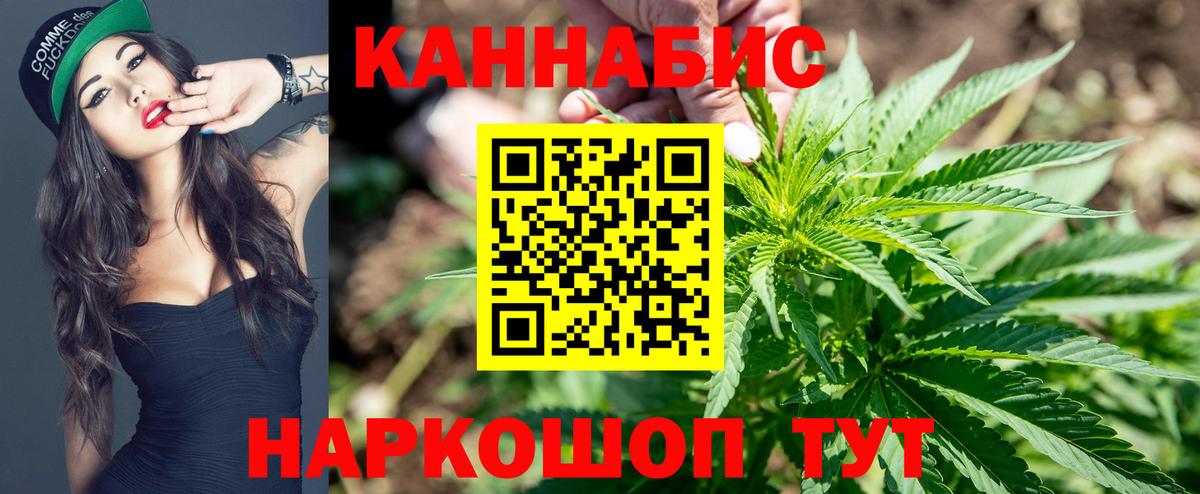 Бошки марихуана гибрид Новозыбков